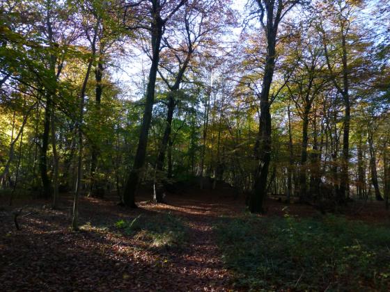 West Tump (Long Barrow)