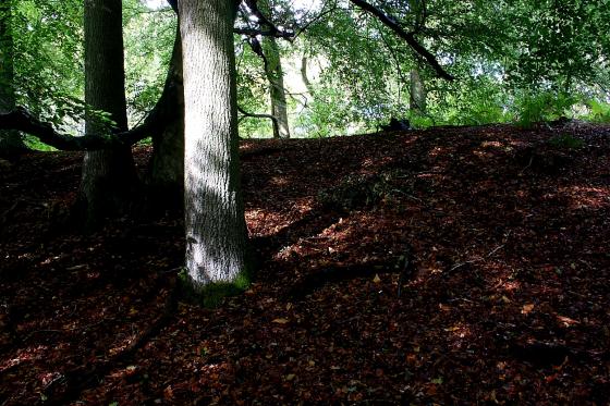 Grimsbury Castle (Hillfort)