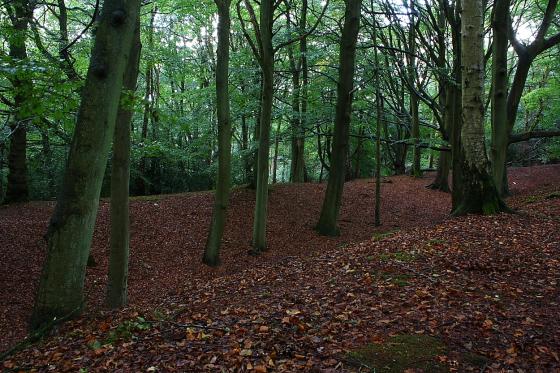 Grimsbury Castle (Hillfort)