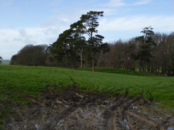 North Down (Barrow / Cairn Cemetery)