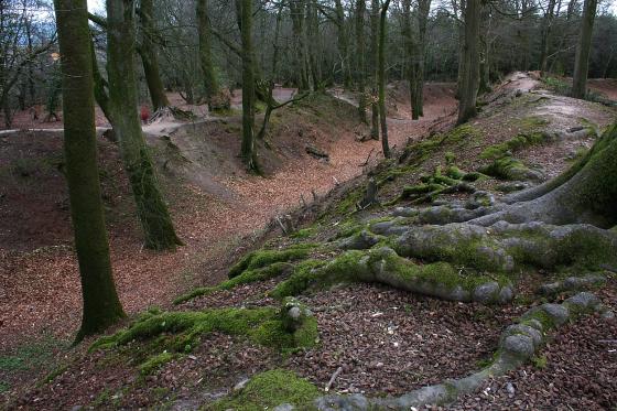 Woodbury Castle (Hillfort)