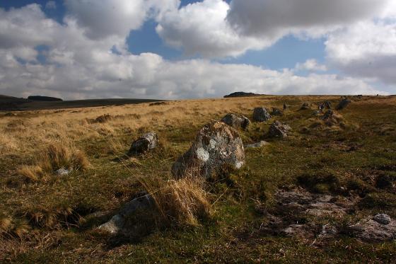 Hart Tor (Stone Row / Alignment)