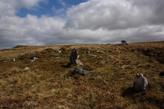 Hart Tor (Stone Row / Alignment)