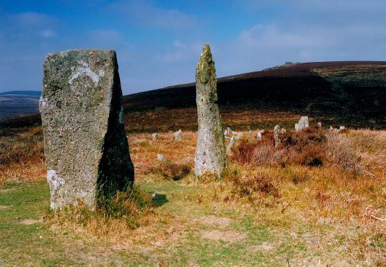 Challacombe (Multiple Stone Rows / Avenue)