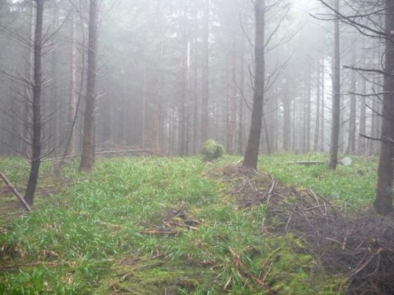 Dun Earn (Hillfort)