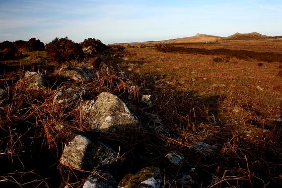 Foale’s Arrishes (Ancient Village / Settlement / Misc. Earthwork)