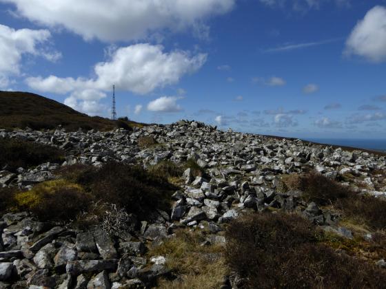 Mynydd Rhiw (Barrow / Cairn Cemetery)