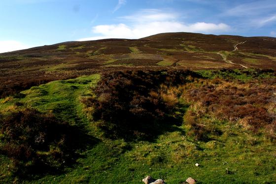 Fallburn (Hillfort)