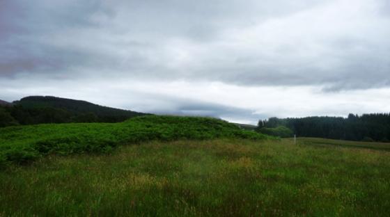 Mid Craggie 2 (Kerbed Cairn)
