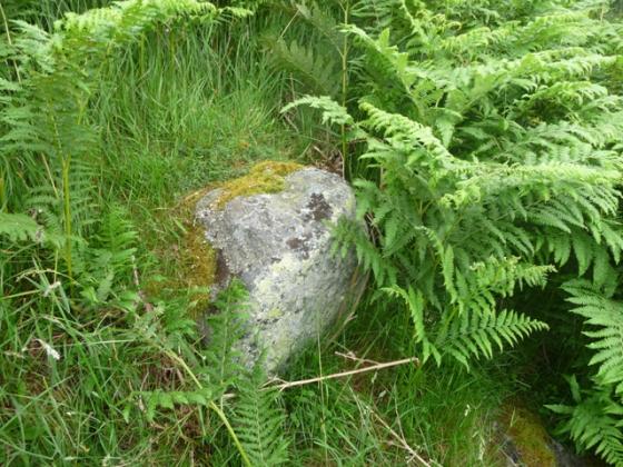 Mid Craggie 2 (Kerbed Cairn)