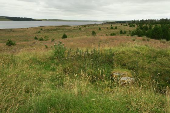 Torr Ban Na Gruagaich (Chambered Cairn)