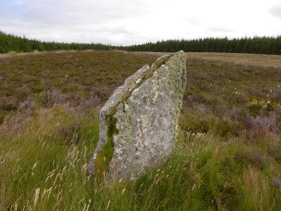 Broubster (Standing Stones)