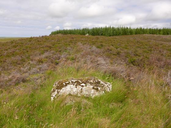Broubster (Standing Stones)