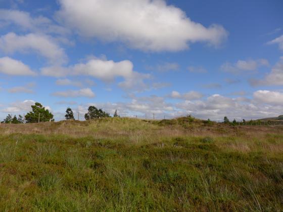 Shurrey, Sithean Dubh (Chambered Cairn)