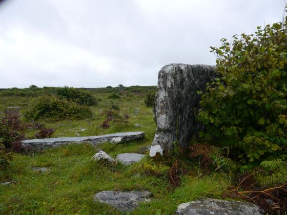 Gleninsheen (Wedge Tomb)