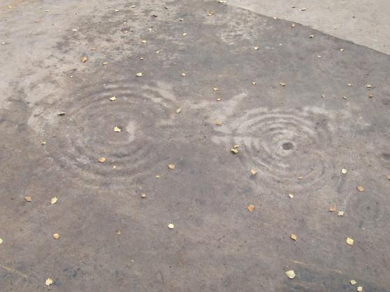 The Cochno Stone (Cup and Ring Marks / Rock Art)