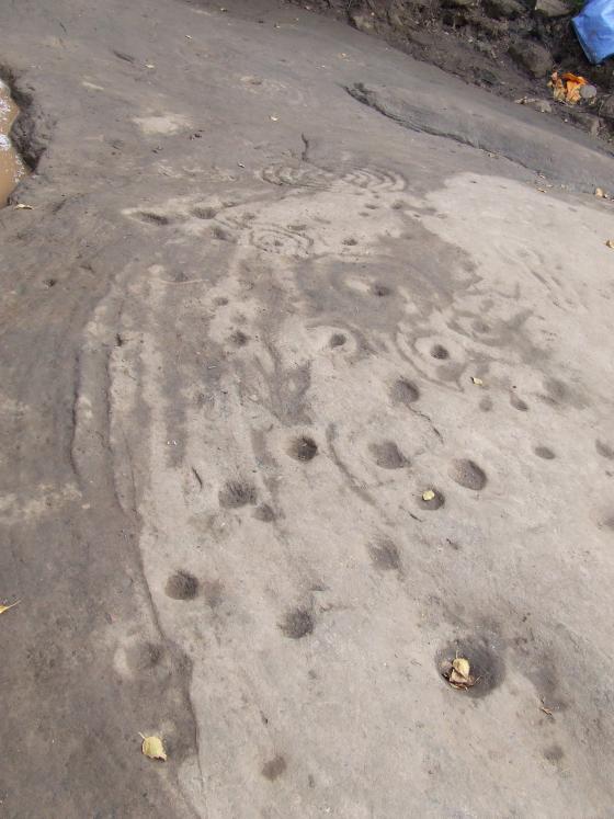The Cochno Stone (Cup and Ring Marks / Rock Art)