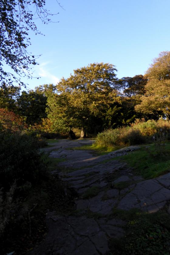 Corstorphine Hill (Cup Marked Stone)