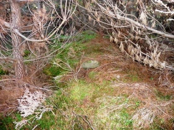 Drummossie Muir (Kerbed Cairn)
