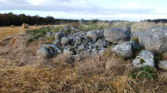 Little Urchany (Stone Circle)