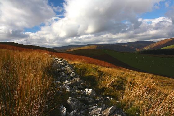 Craig Rhiwarth (Hillfort)