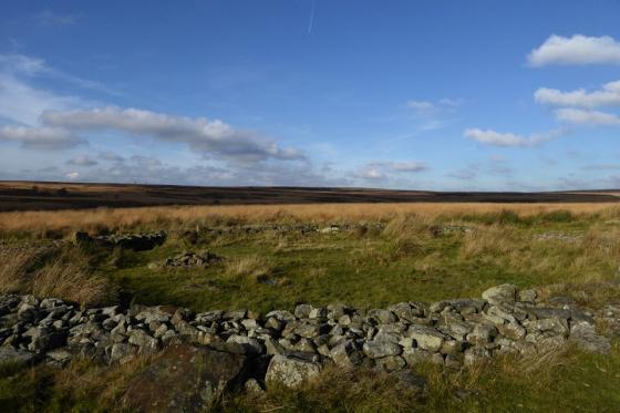 Barbrook II (Stone Circle)