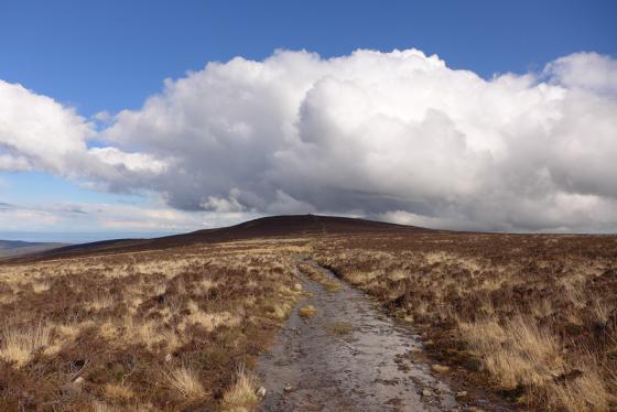 Dunkery Beacon (Cairn(s))