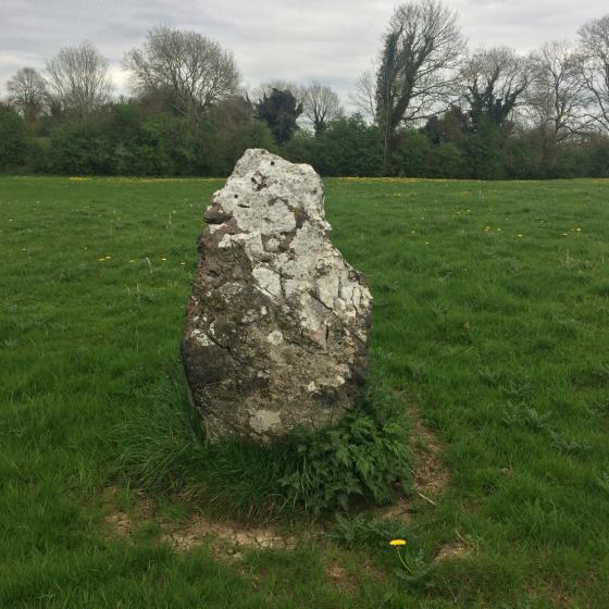 Cloongowna (Standing Stone / Menhir)