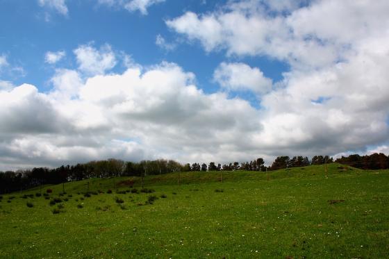 Weston (Henge)