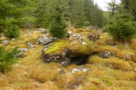 Allt Eileag (Chambered Cairn)