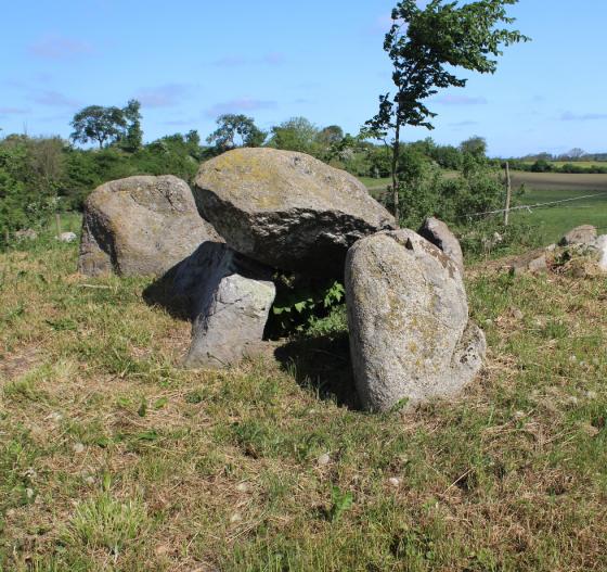 Gladsax 9:1 (Passage Grave)