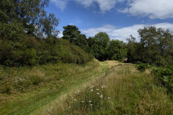 Capler Camp (Hillfort)