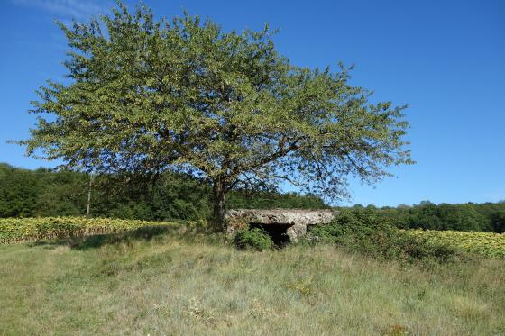 Dolmen de Avort