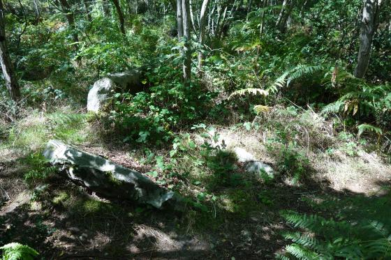 Dolmen des Varennes de Cumeray 2