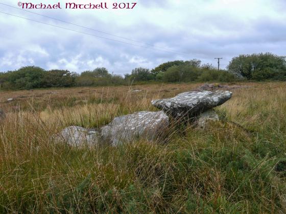 Three Brothers of Grugith (Cist)