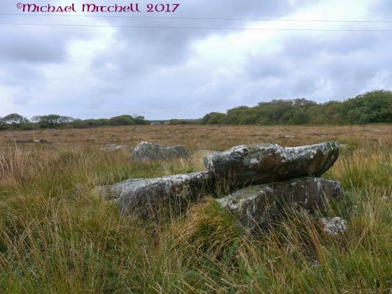 Three Brothers of Grugith (Cist)