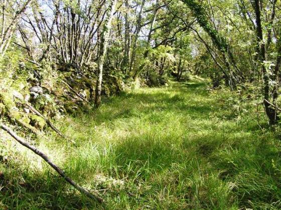 Sales (Hillfort)