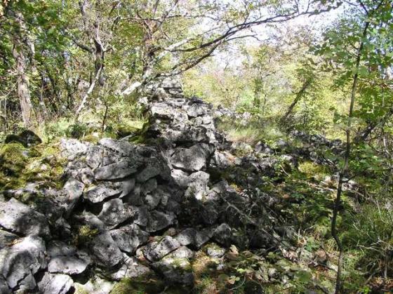 Sales (Hillfort)