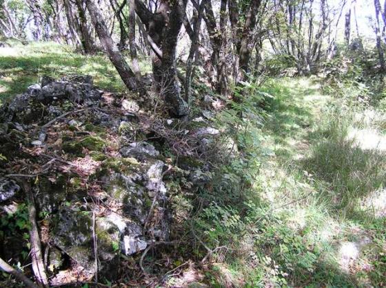Sales (Hillfort)