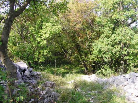 Slivia 1 (Hillfort)