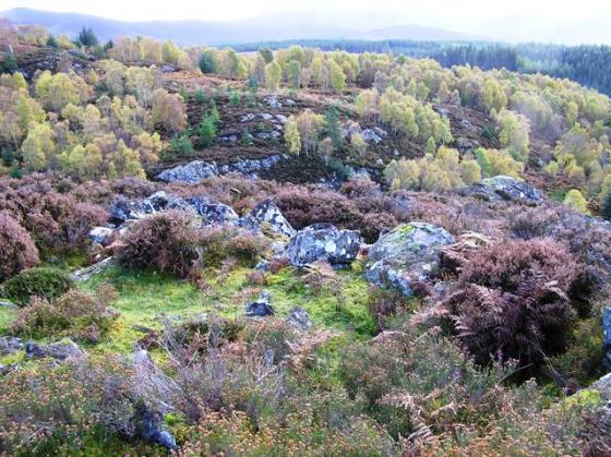 Dun Dearduil South (Hillfort)