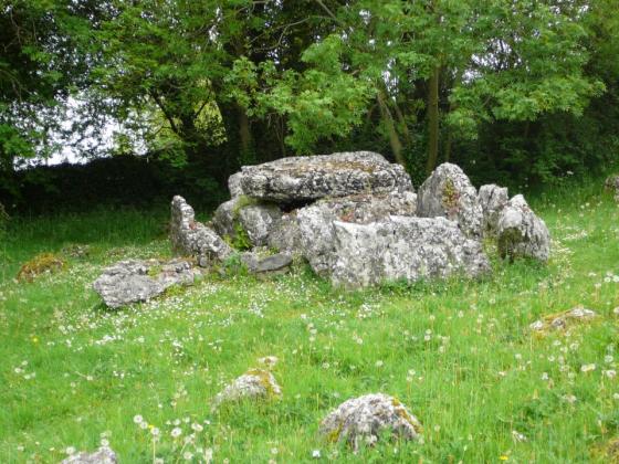 Lough Gur Wedge Tomb