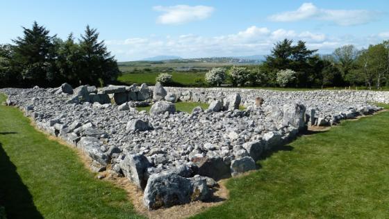 Creevykeel (Court Tomb)