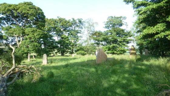 Sunhoney (Stone Circle)