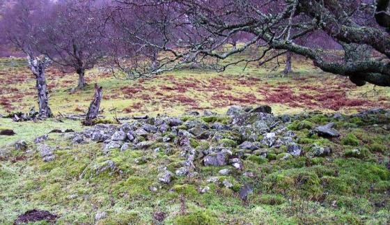 Biallidbeg (Cairn(s))