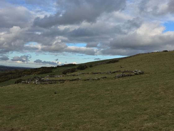 Ballinvally Cashel (Stone Fort / Dun)