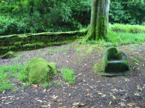 The Druid’s Chair and Menacuddle Well (Sacred Well)