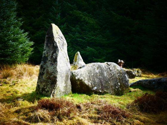 Loudon Wood (Stone Circle)