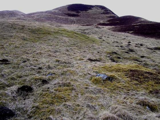 Sidhean Mor Dail A’ Chaorainn (Cairn) (Cairn(s))