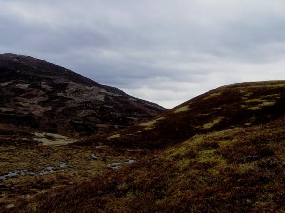 Sidhean Mor Dail A’ Chaorainn (Enclosure)